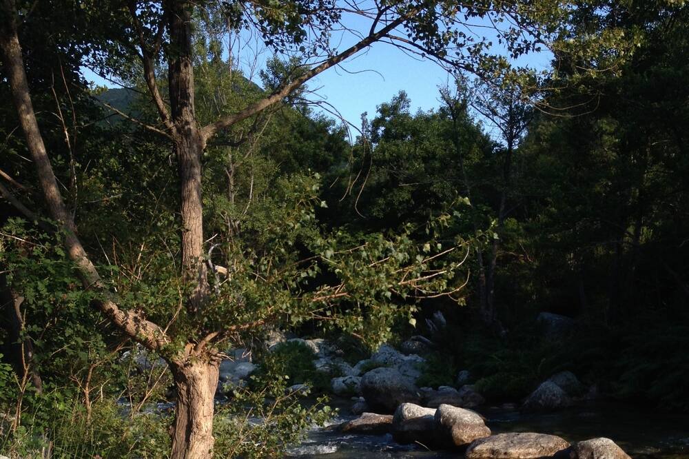 Photo of Outdoor in Guiselle