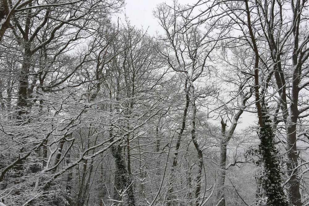 Photo of Others in Jouy-en-Josas