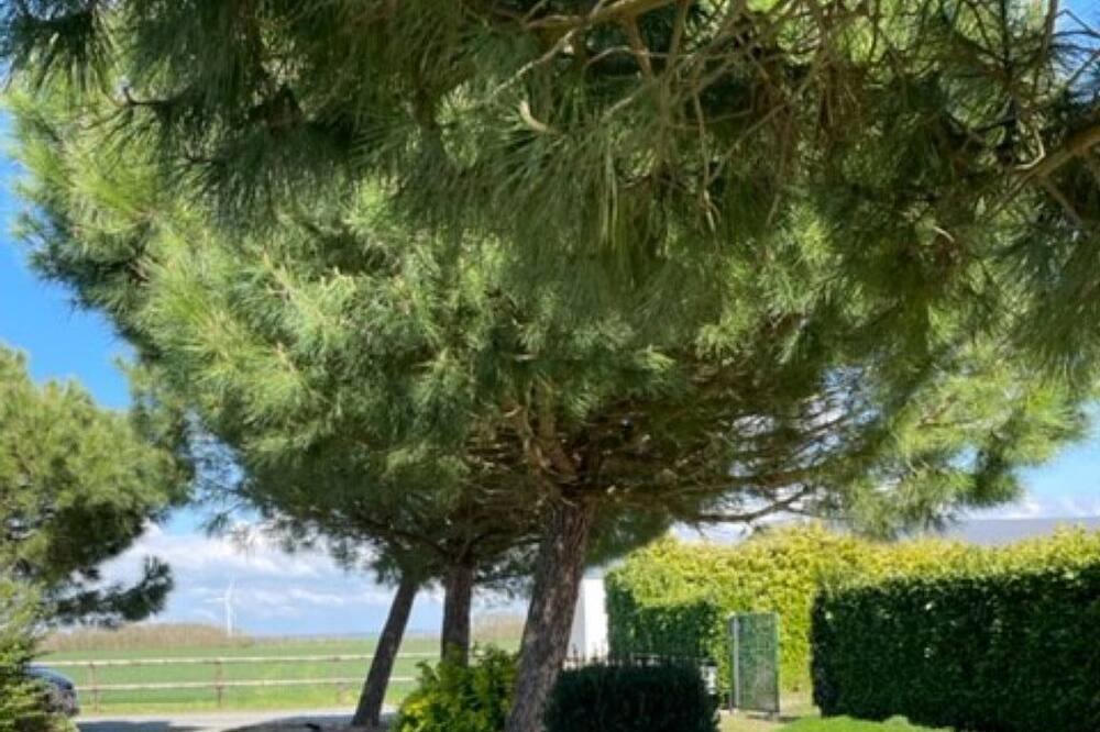 Photo of Outdoor in Le Bu-sur-Rouvres