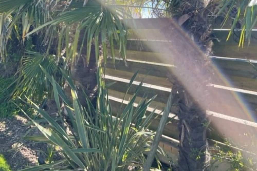 Photo of Outdoor in Le Bu-sur-Rouvres