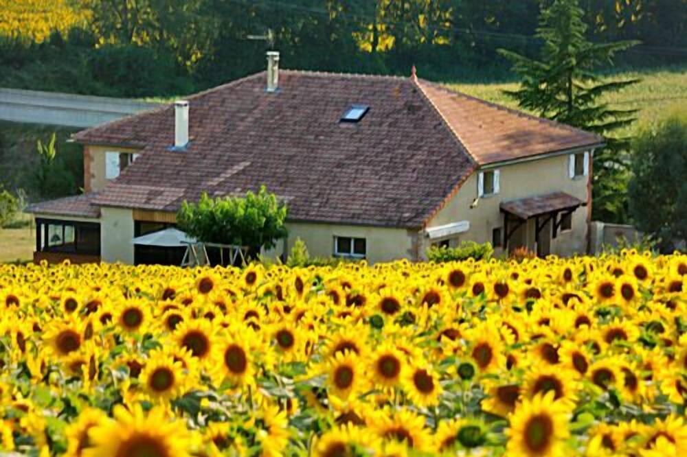 Photo of Outdoor in Aubiet