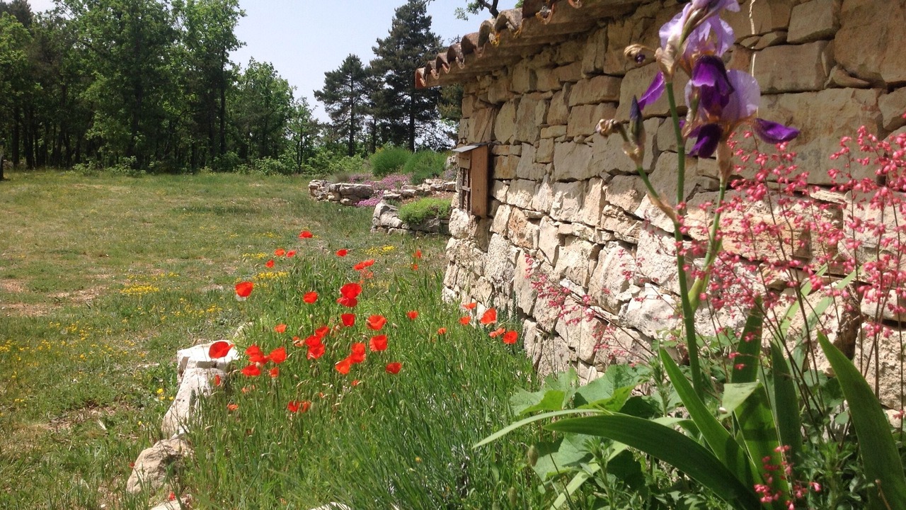 Photo of Outdoor in Caseneuve