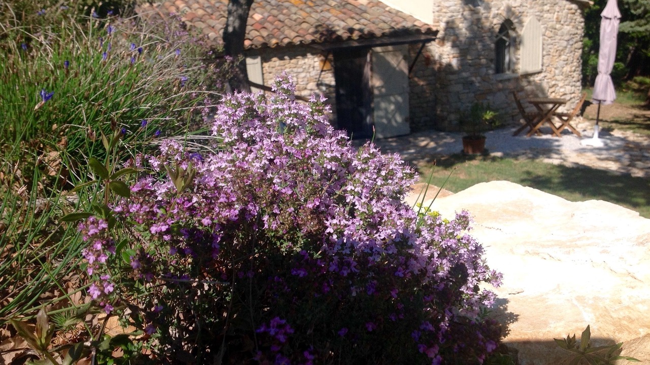 Photo of Outdoor in Caseneuve