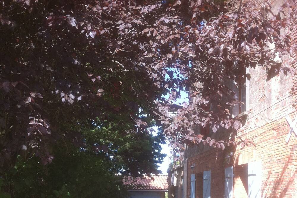 Photo of Outdoor in Labastide-Beauvoir