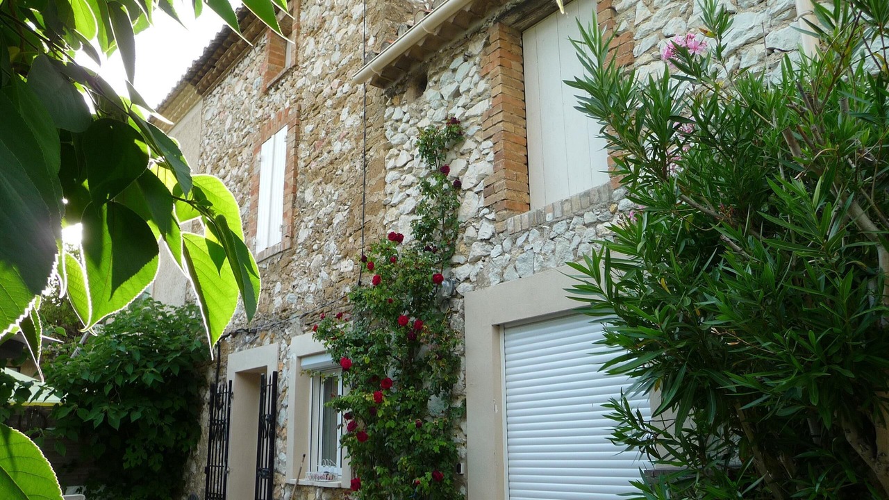 Photo of Outdoor in Vedene
