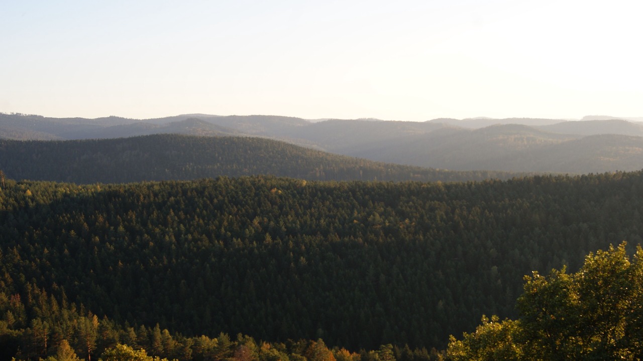 Photo of Outdoor in Berling