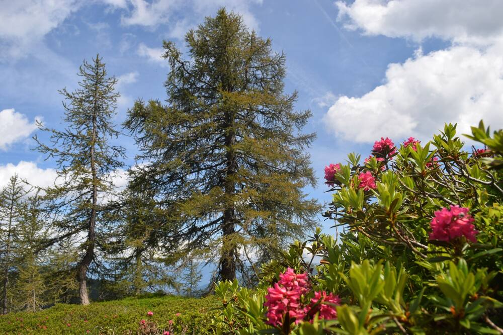 Photo of Outdoor in Spruga