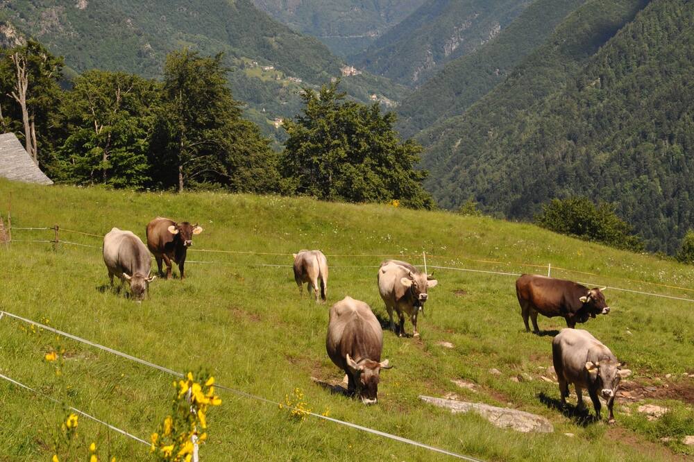 Photo of Outdoor in Spruga