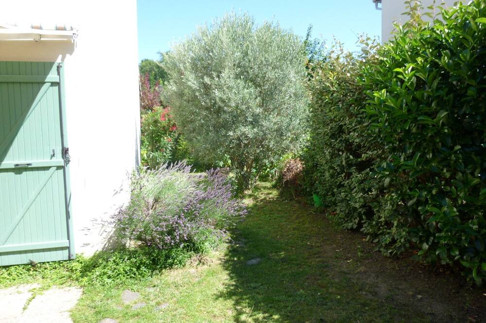 Photo of Outdoor in Saint - Martin - du - Touch