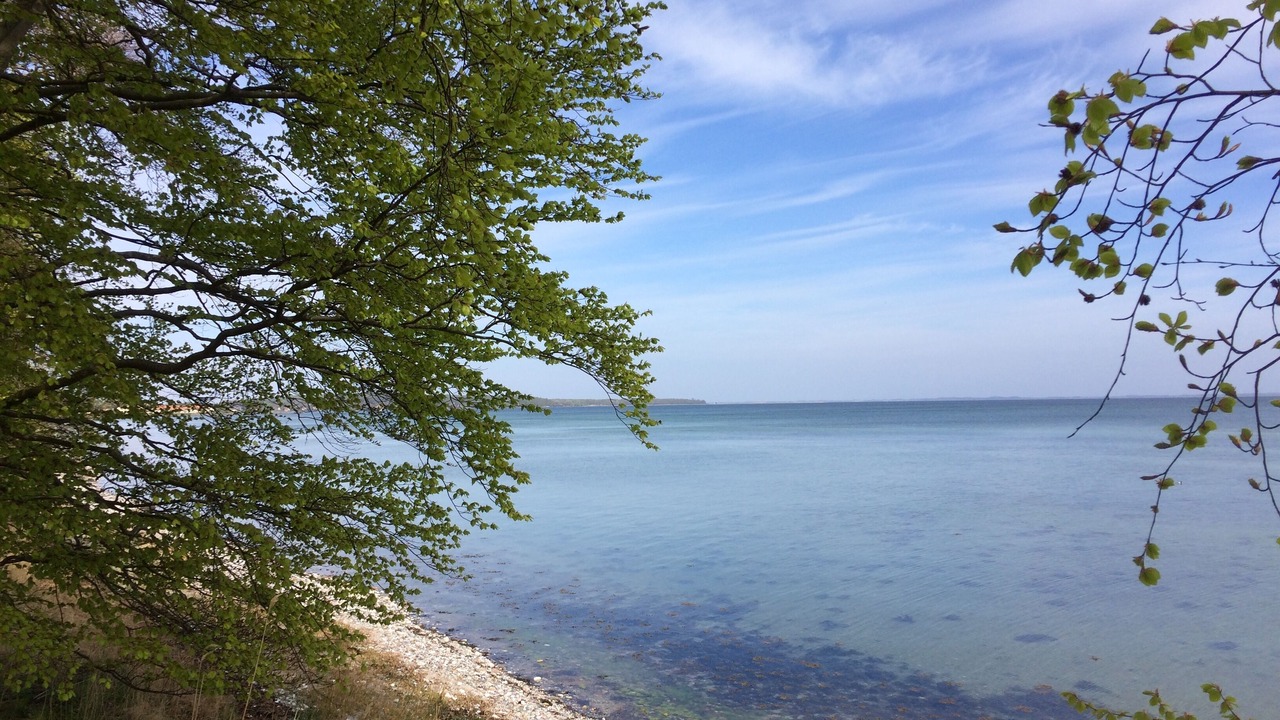 Photo of Outdoor in Troense