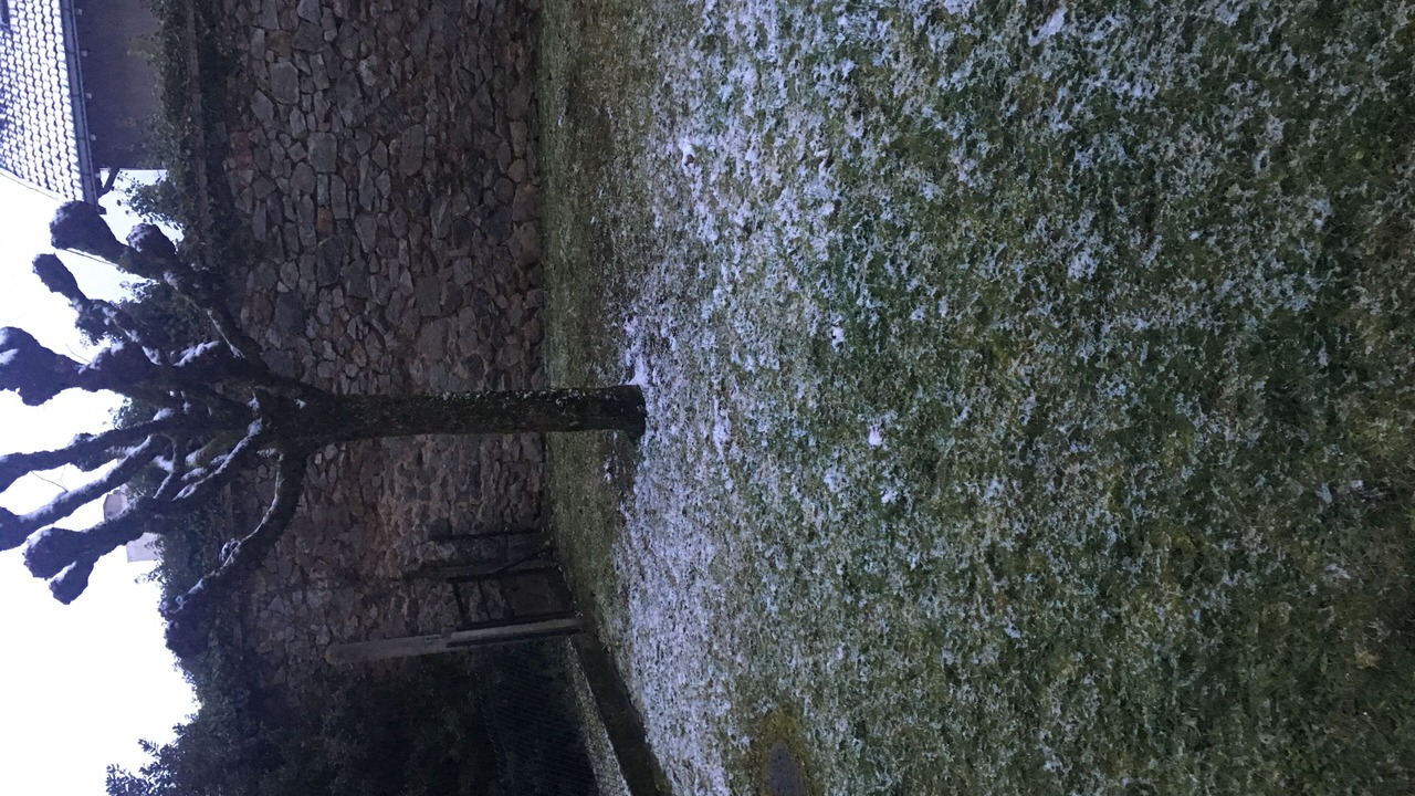 Photo of Others in Limoges