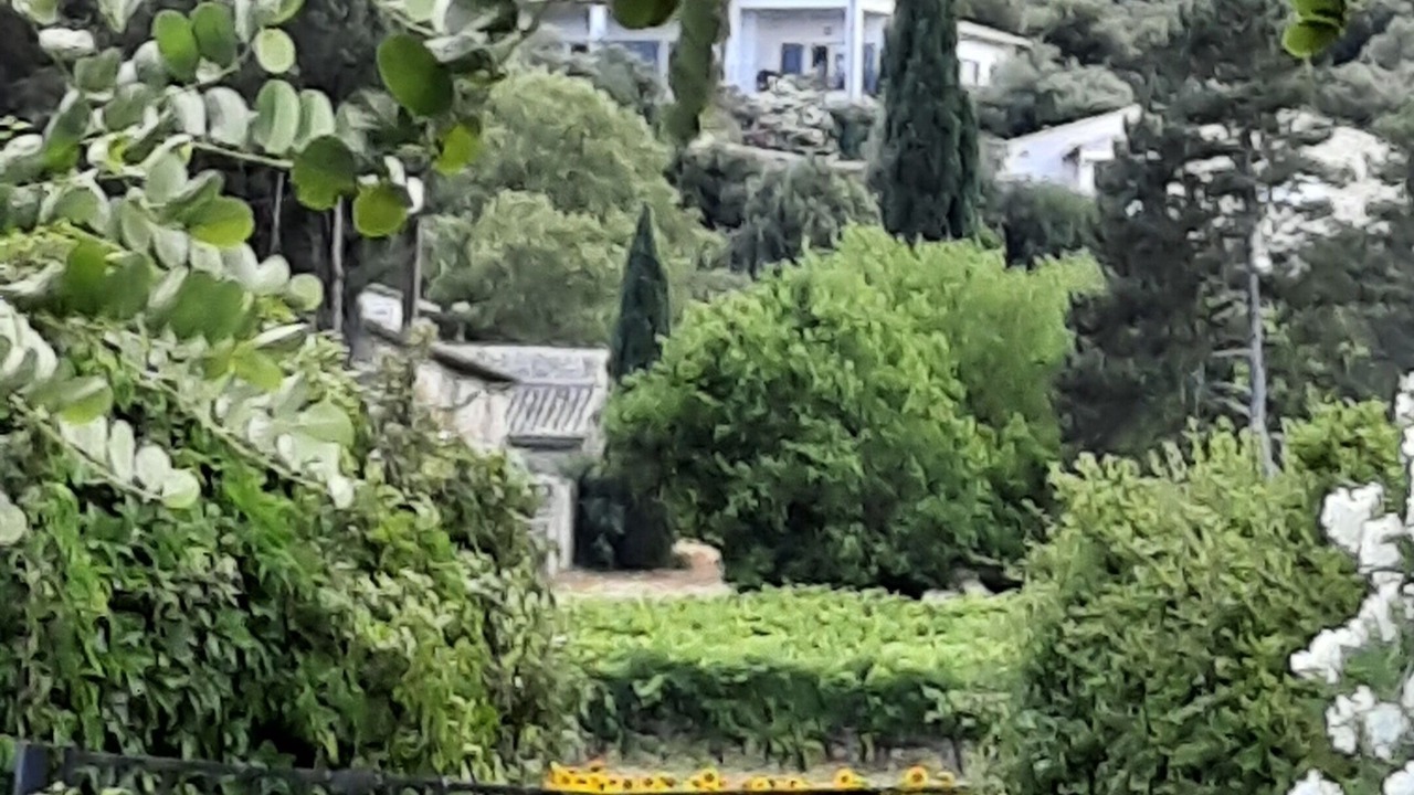 Photo of Outdoor in Verfeuil
