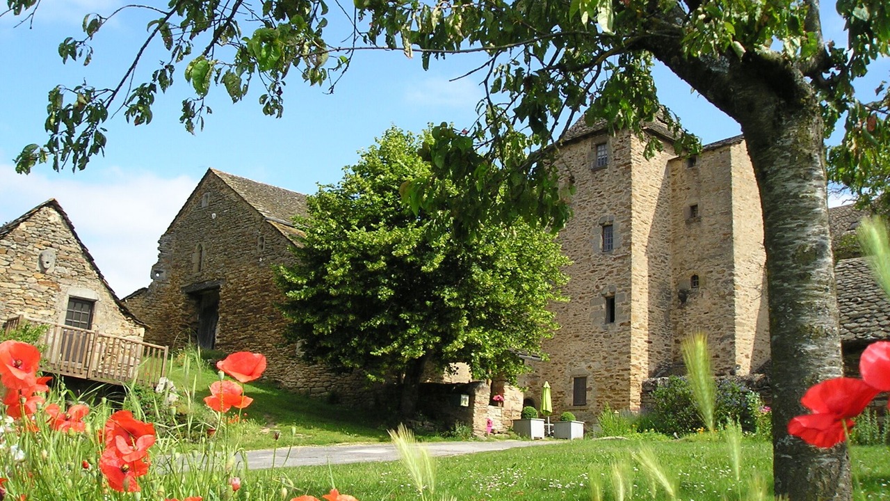 Photo of Outdoor in Moyrazes