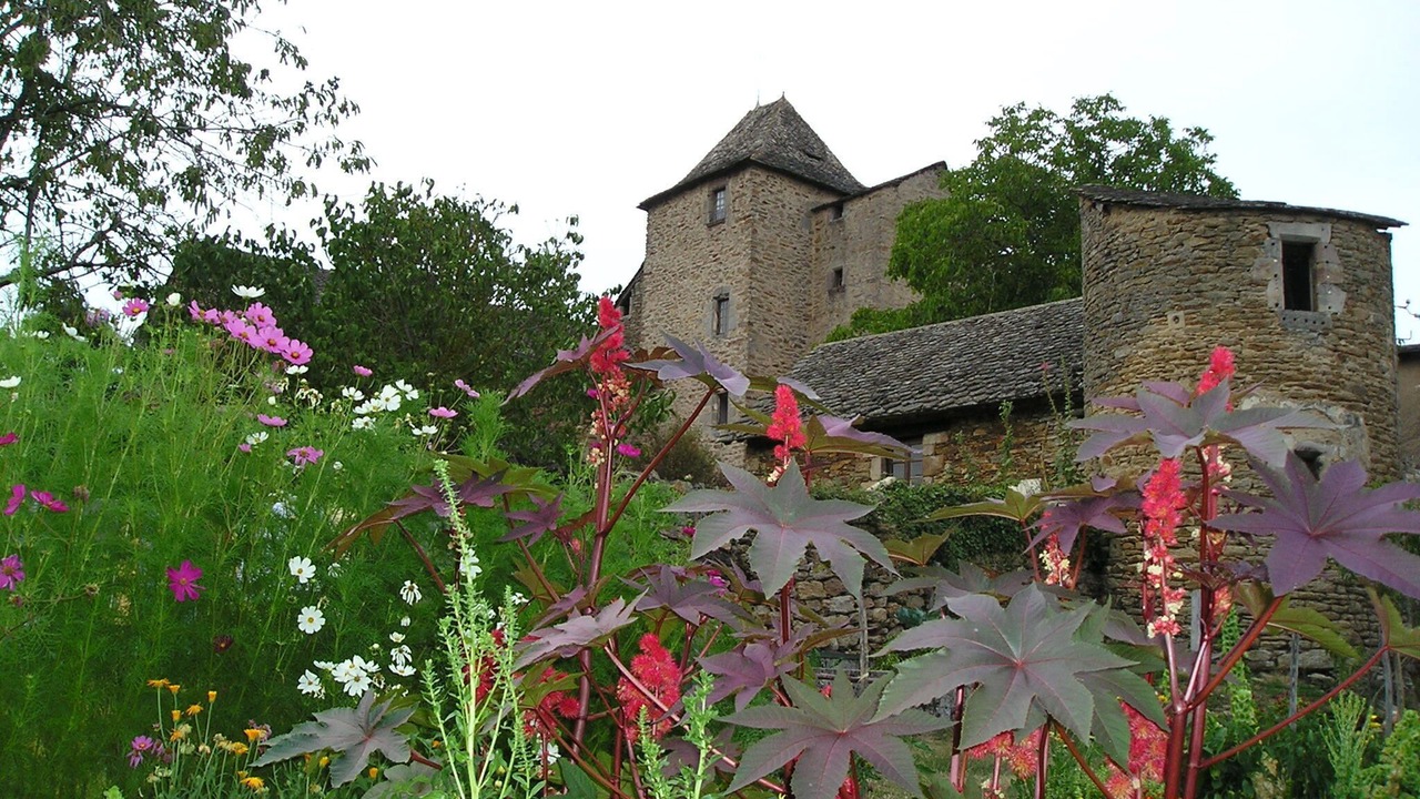 Photo of Outdoor in Moyrazes