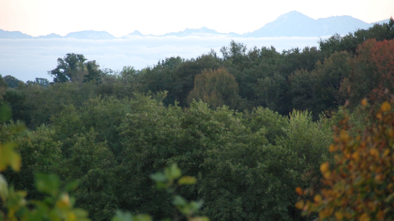 Photo of Outdoor in Aignan