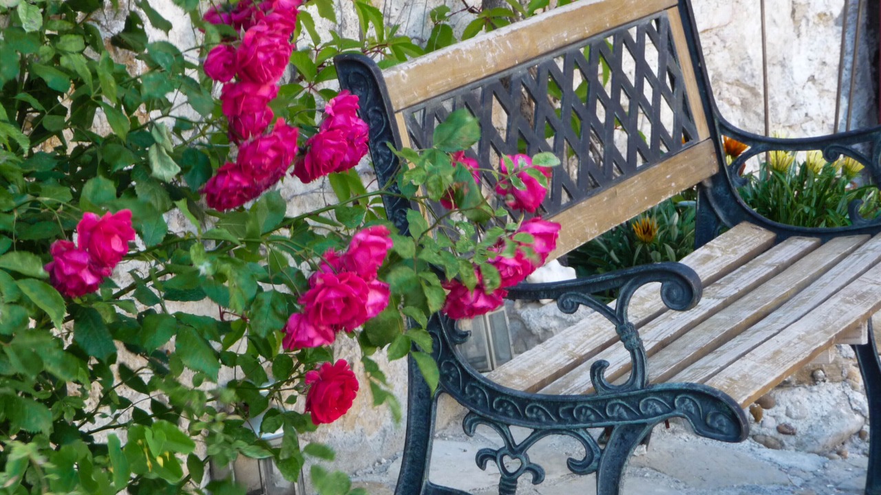 Photo of Outdoor in La Cadiere-et-Cambo