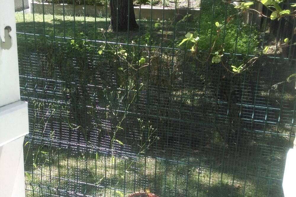 Photo of Patio Balcony in Cathedrale