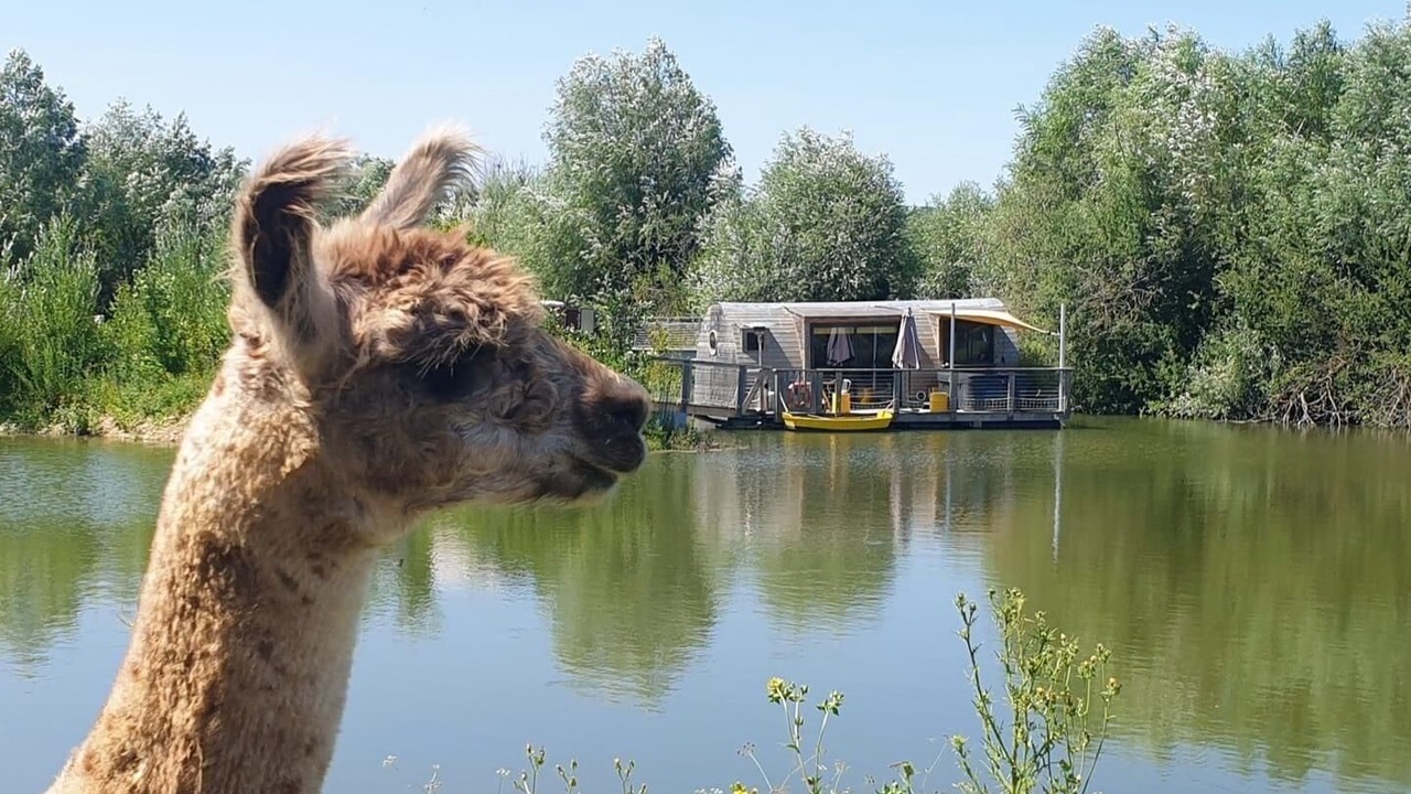 Photo of Others in Chablis