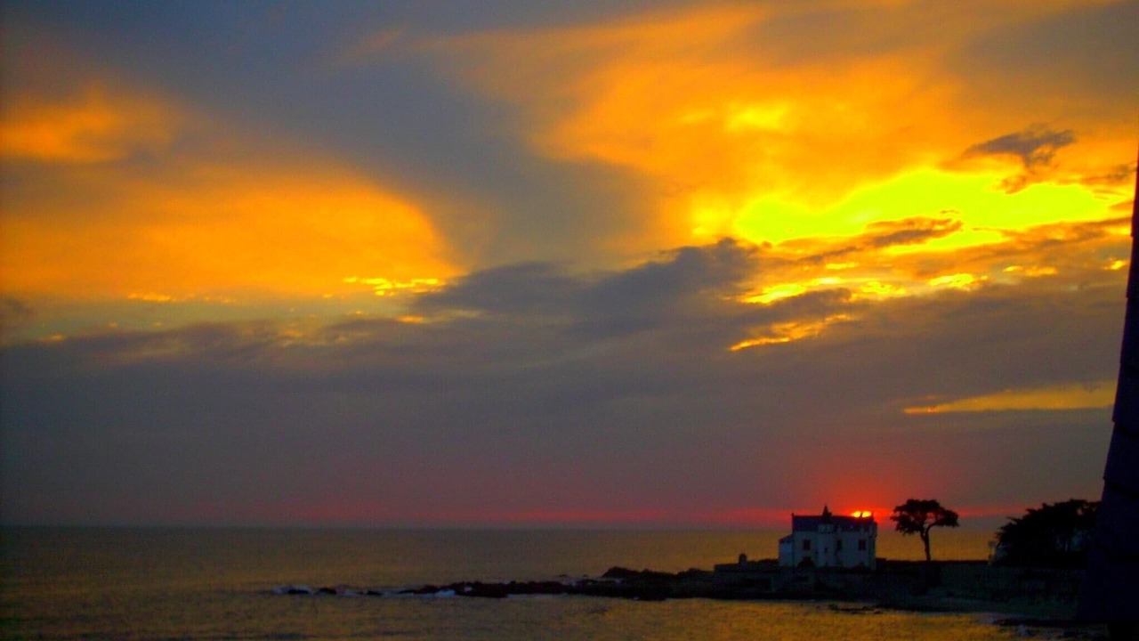 Photo of Others in Batz-sur-Mer