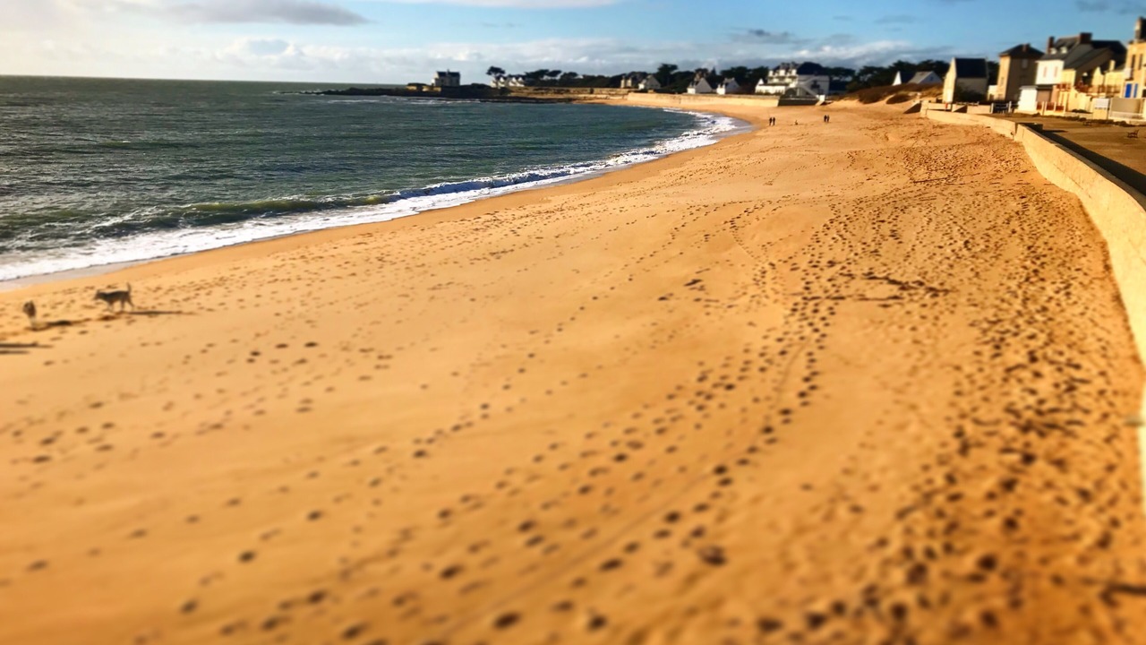 Photo of Others in Batz-sur-Mer