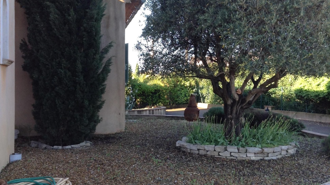 Photo of Outdoor in Le Muy