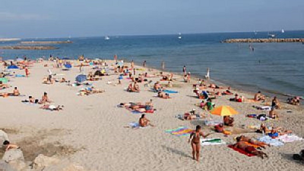 Photo of Others in Aiguerelles