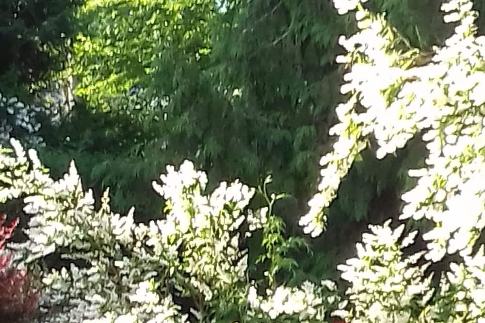 Photo of Outdoor in Chelles