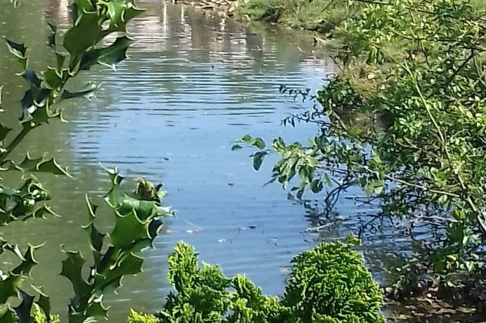 Photo of Others in Chelles