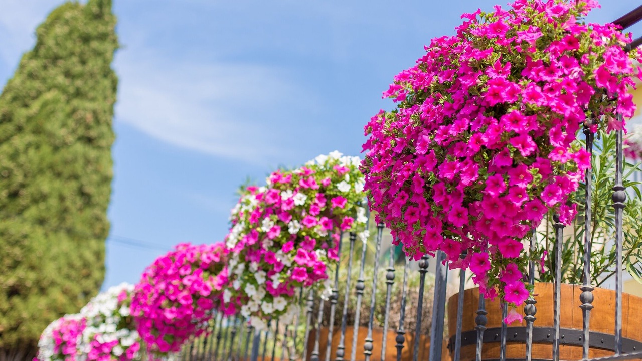 Photo of Outdoor in Malinska