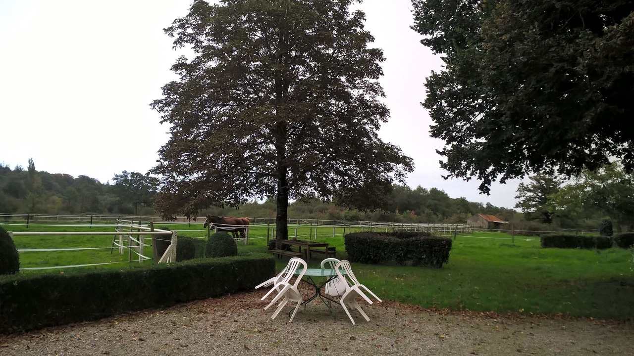 Photo of Outdoor in Chaumes-en-Retz