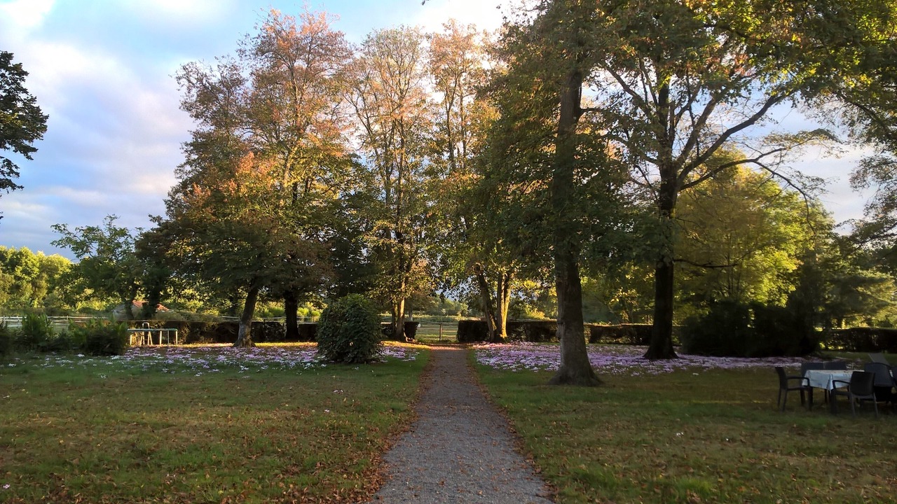 Photo of Outdoor in Chaumes-en-Retz
