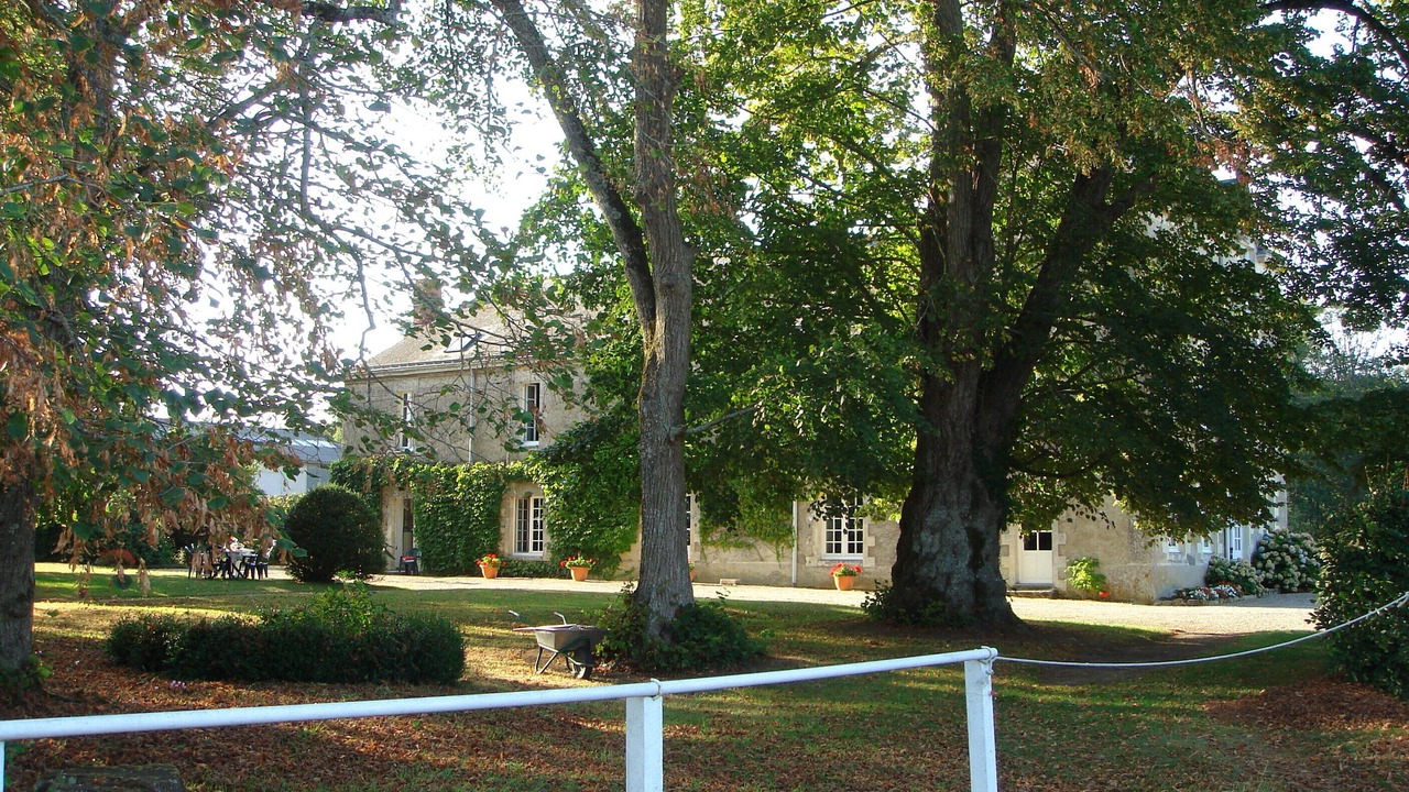 Photo of Outdoor in Chaumes-en-Retz