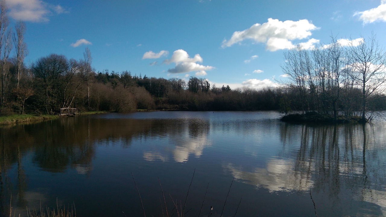 Photo of Outdoor in Chaumes-en-Retz