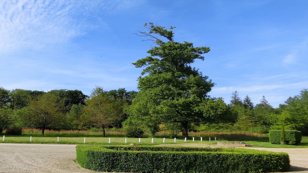 Photo of Outdoor in Chaumes-en-Retz