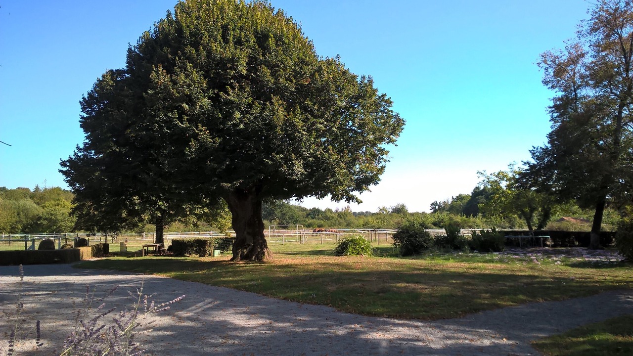 Photo of Outdoor in Chaumes-en-Retz