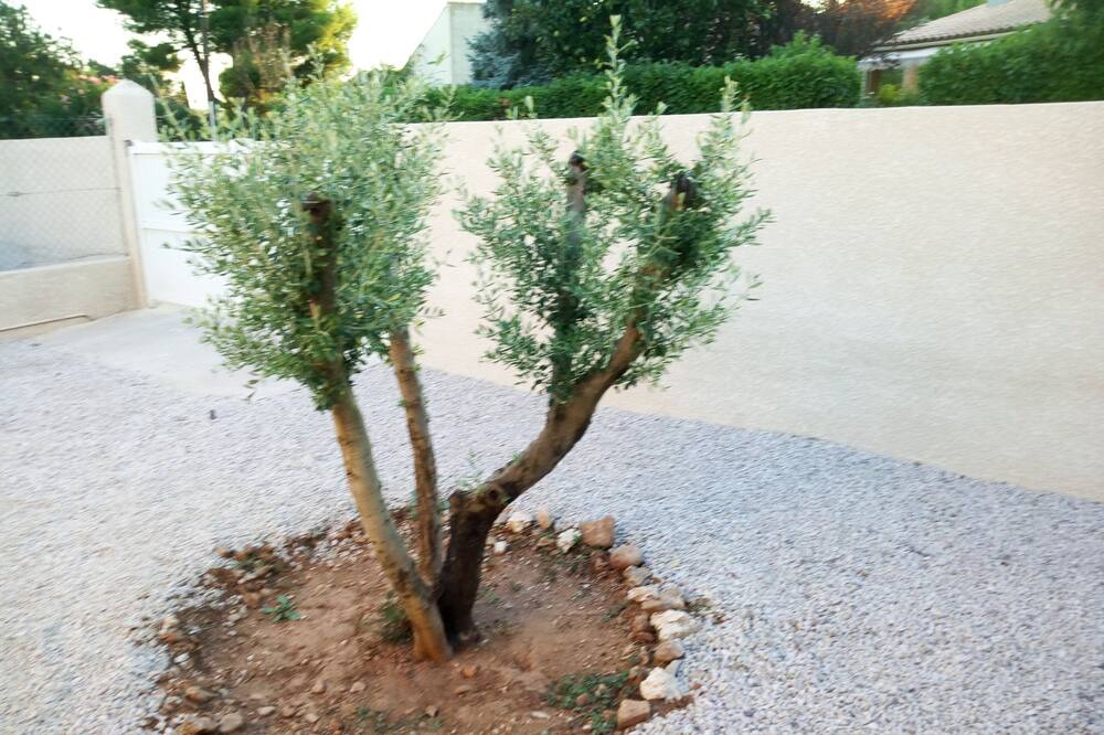 Photo of Outdoor in Canet