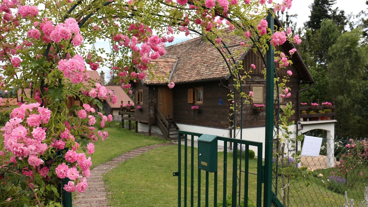 Photo of Outdoor in Benkovac Fuzinski