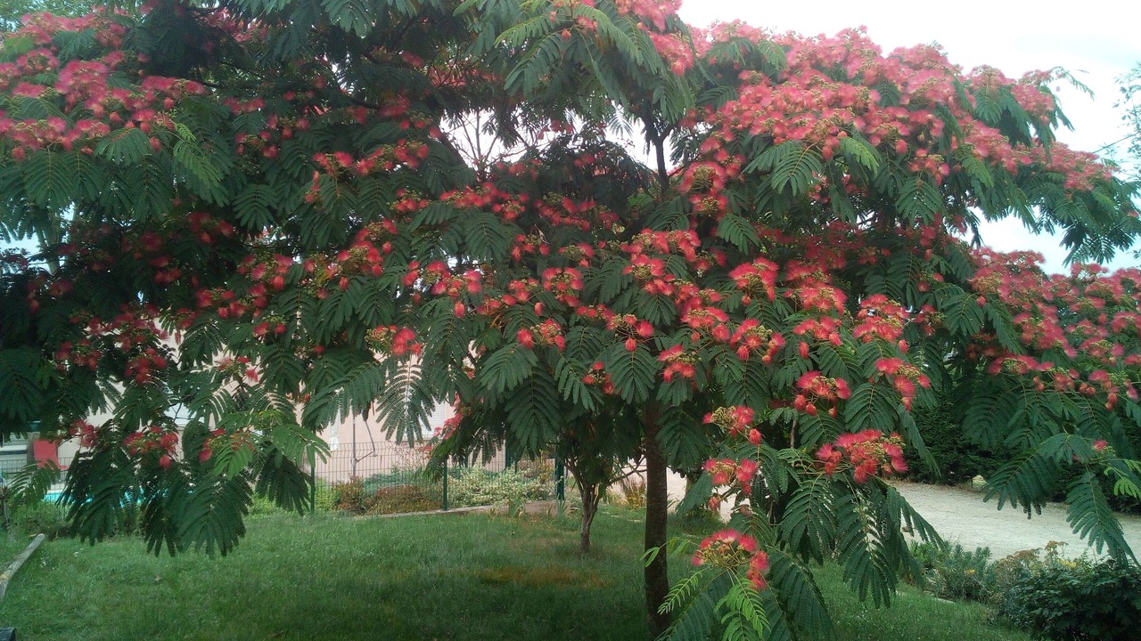 Photo of Outdoor in Rabastens