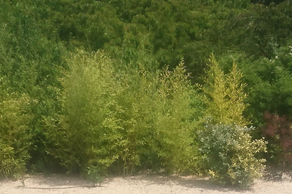 Photo of Outdoor in Manosque