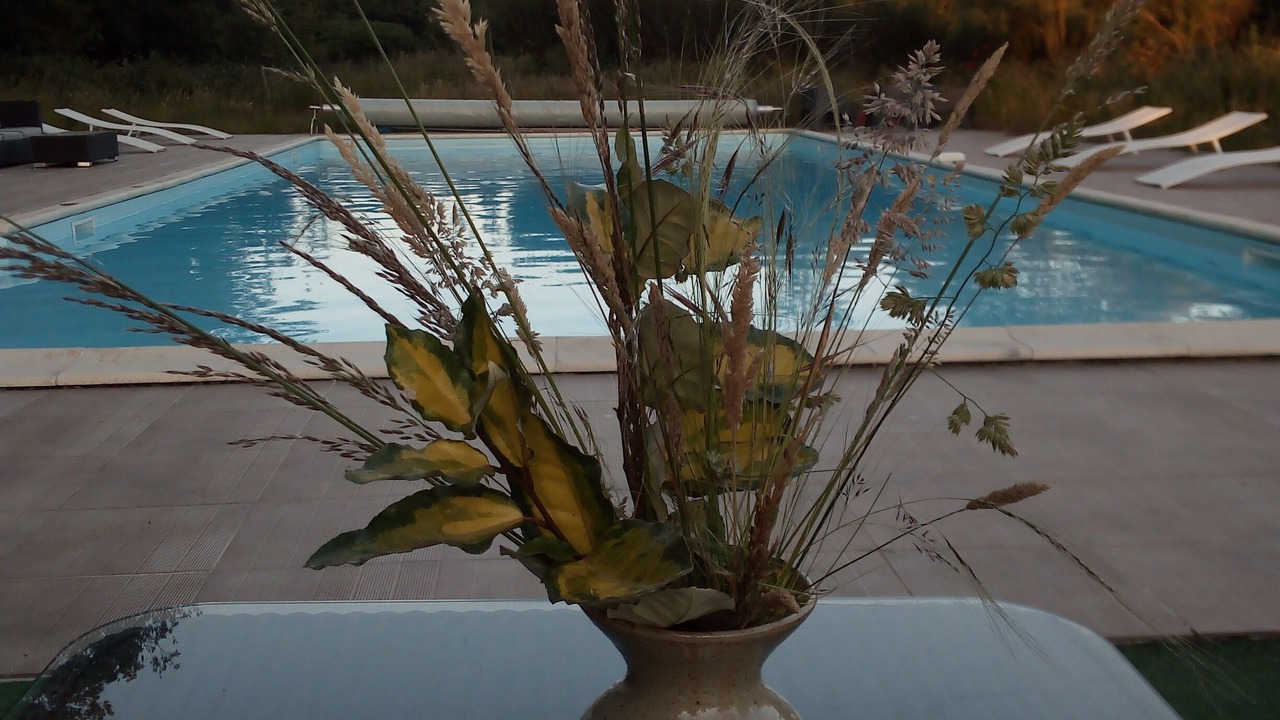 Photo of Outdoor in Saint-Mars-du-Desert