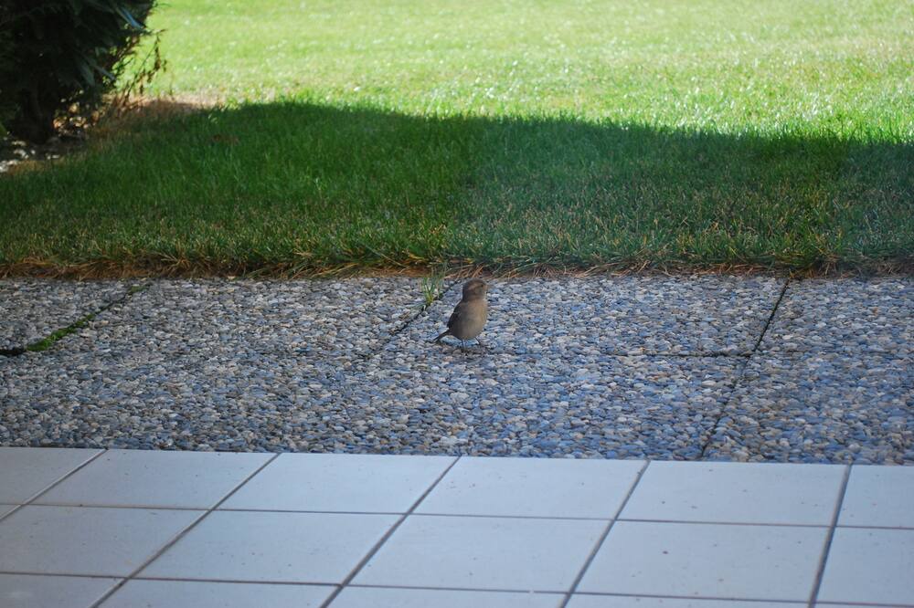 Photo of Outdoor in Saillon