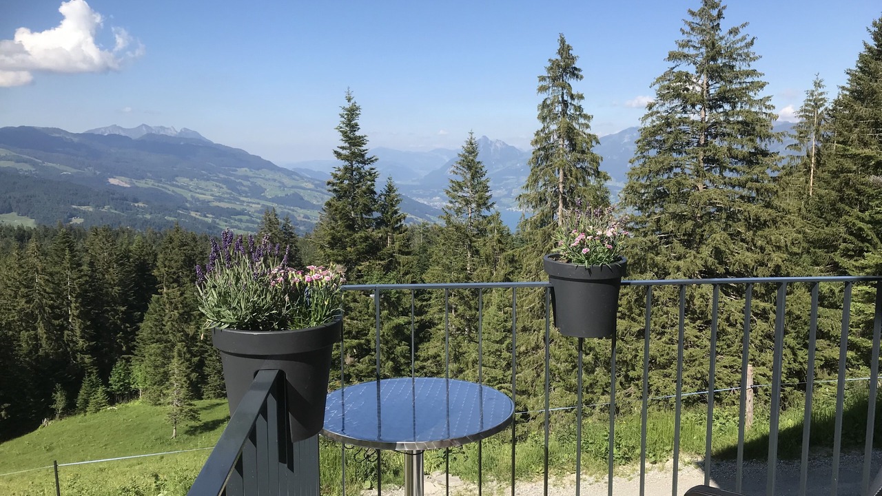 Photo of Outdoor in Giswil