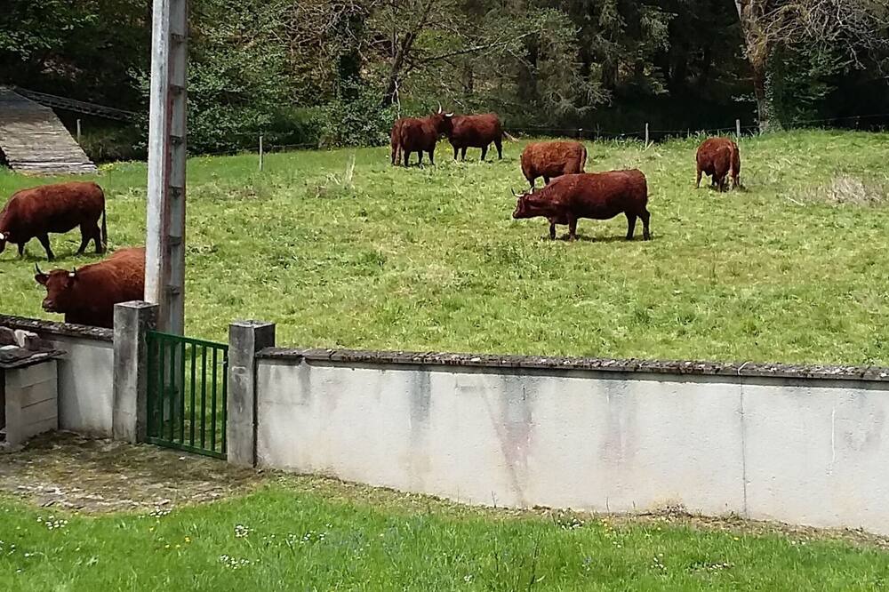 Photo of Outdoor in Cheronnac