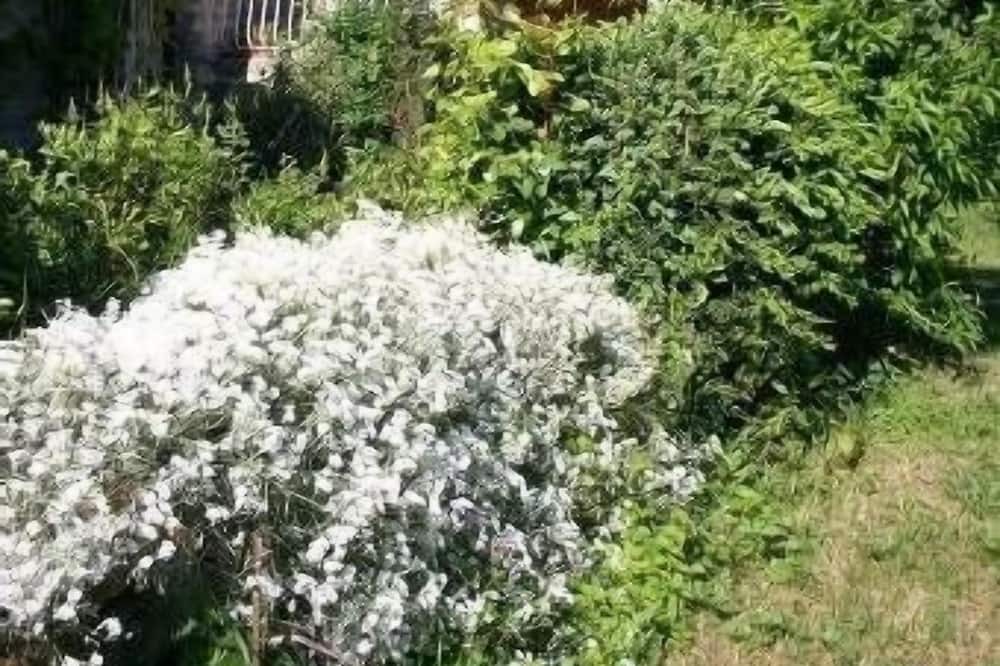 Photo of Outdoor in Chateauneuf-Miravail