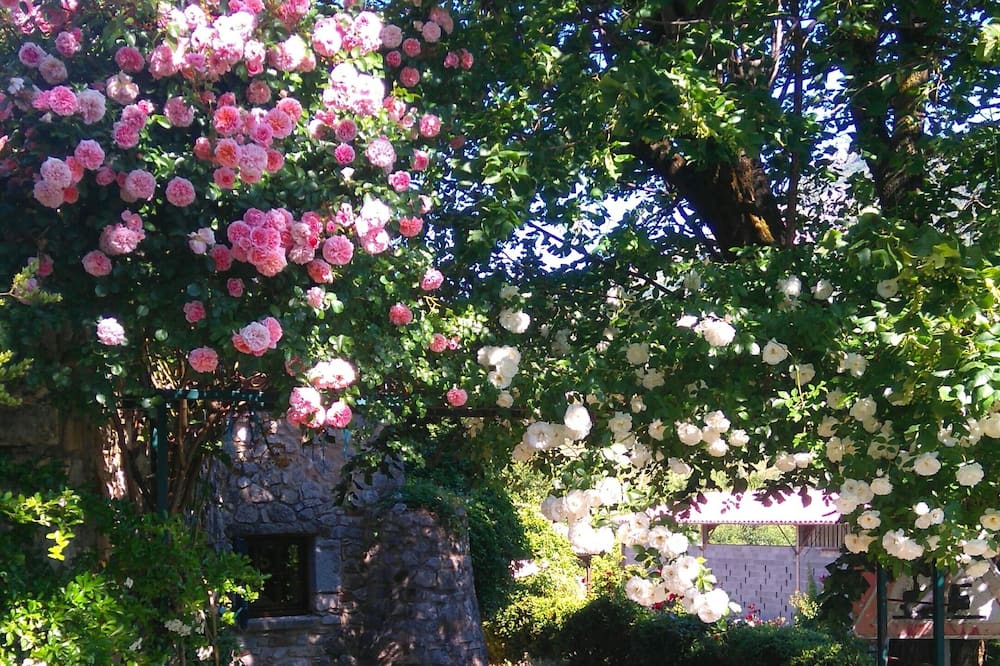 Photo of Outdoor in Chateauneuf-Miravail