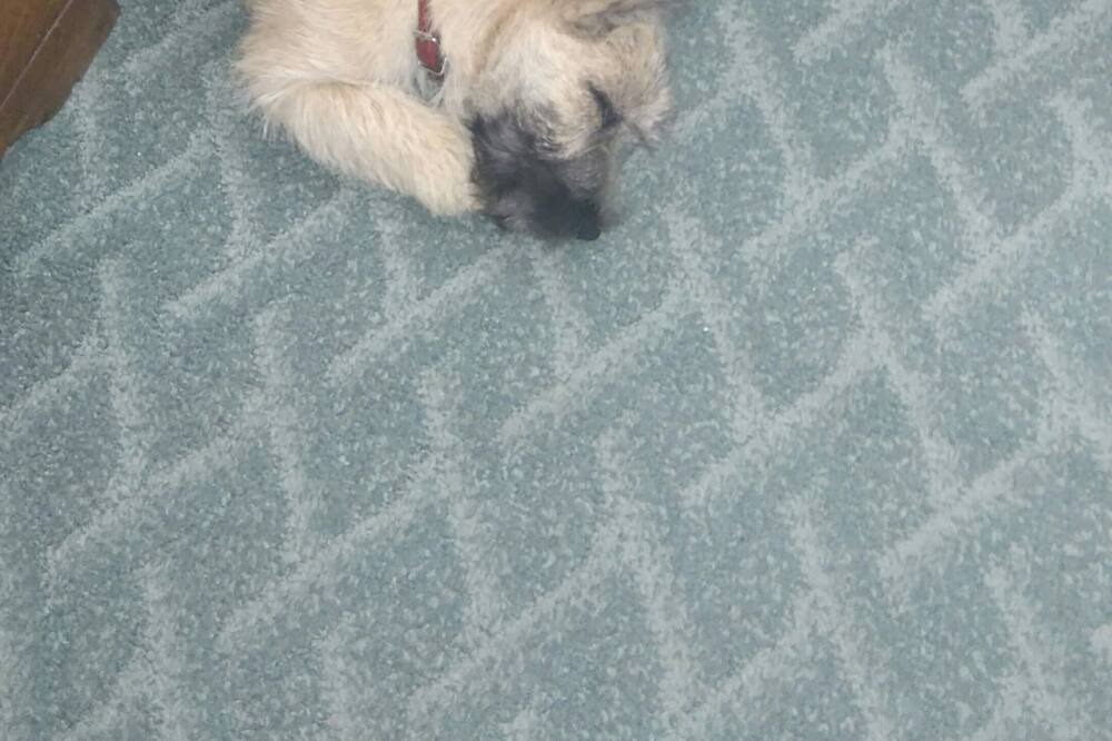 Photo of Others in Chateauneuf-Miravail