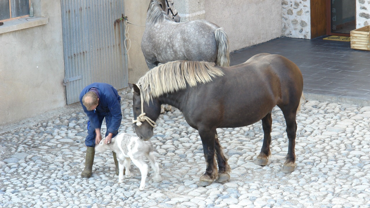 Photo of Others in Talltorta