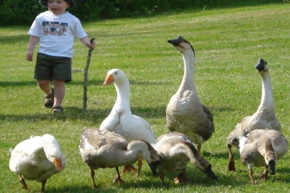 Photo of Others in Feneyrols