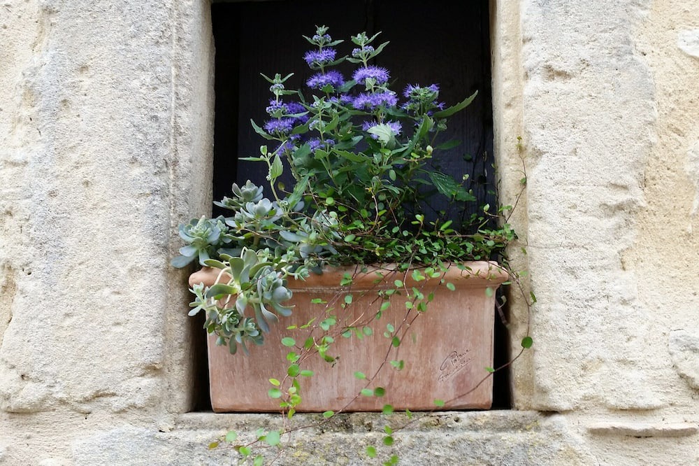 Photo of Outdoor in Saint-Andre-de-Roquepertuis