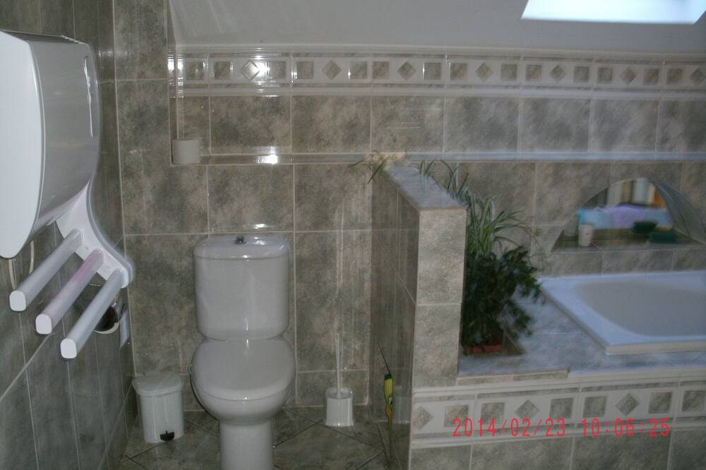 Photo of Bathroom in Pareac